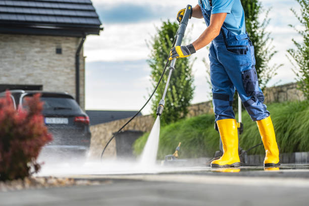 Best Roof Power Washing Services  in Meraux, LA
