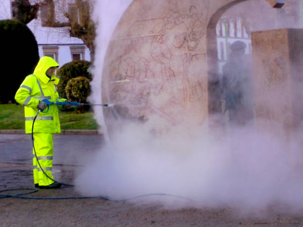 Best Affordable Power Washing  in Meraux, LA
