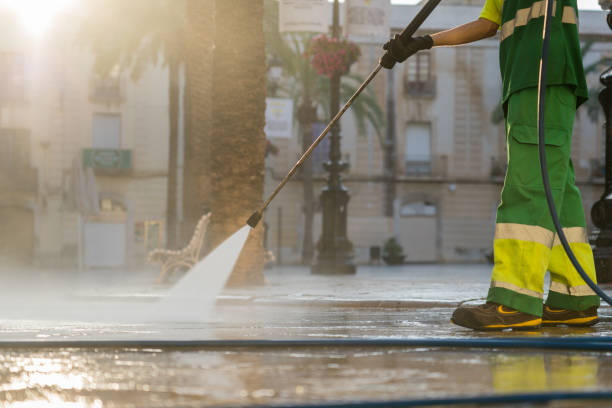 Best Roof Pressure Washing  in Meraux, LA
