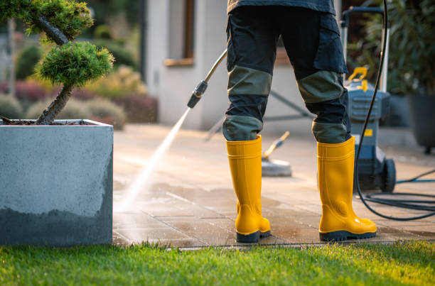 Best Exterior Home Cleaning  in Meraux, LA